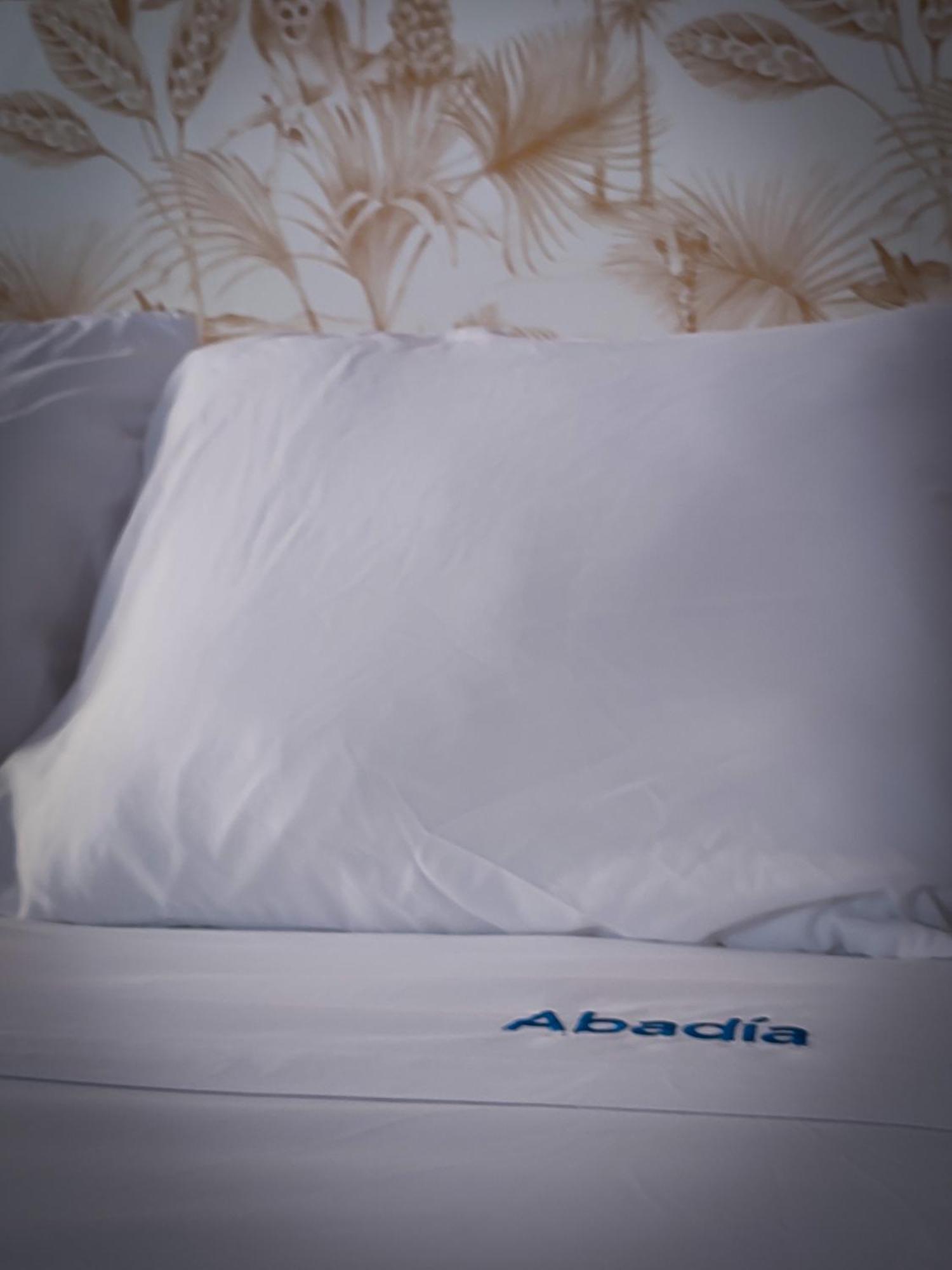 Apartamentos Abadia. Corella Extérieur photo